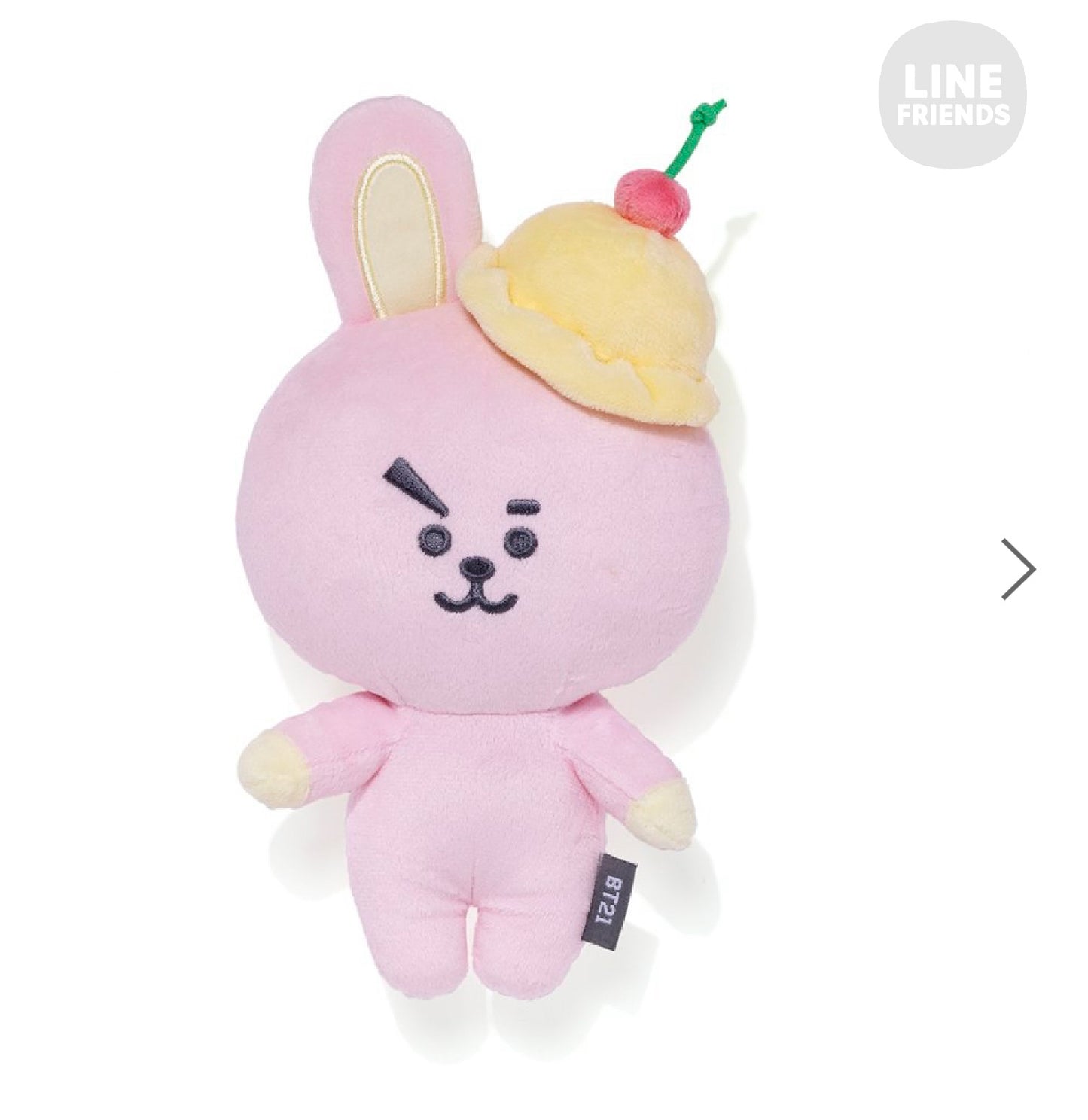 BT21 Japan - Summer Happy Bag 2023 - Cooky