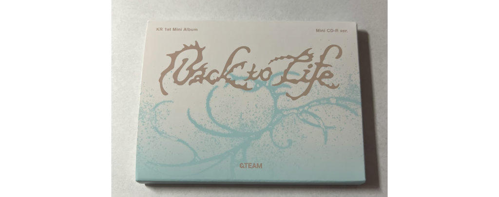 &TEAM Back to Life Mini CD-R ver.