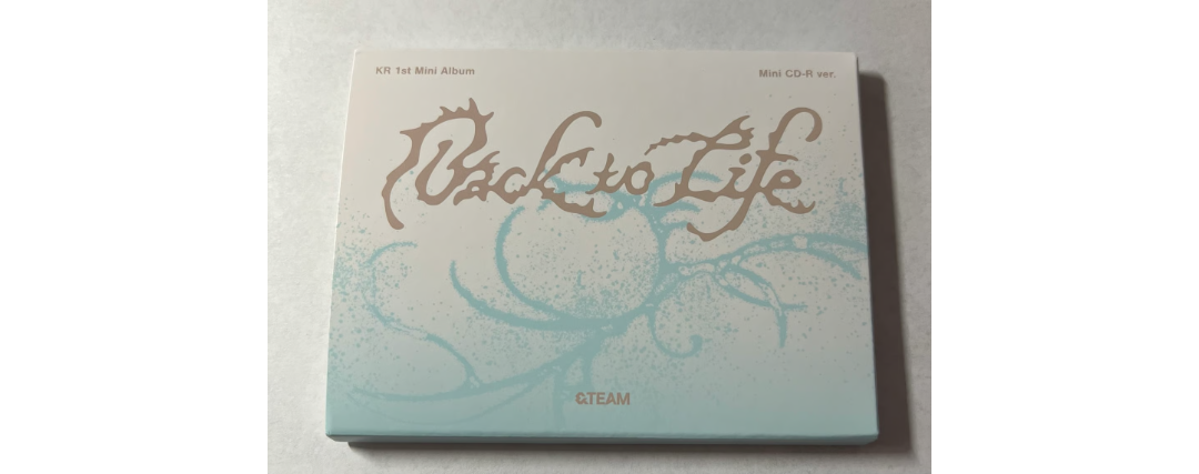 &TEAM Back to Life Mini CD-R ver.