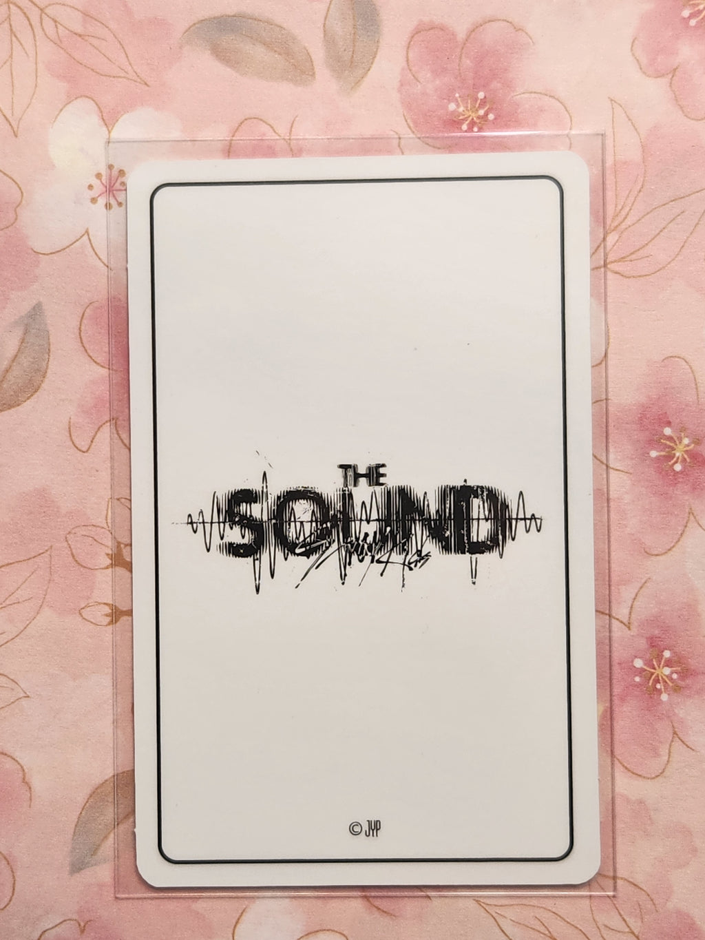 Skz The Sound Polaroid