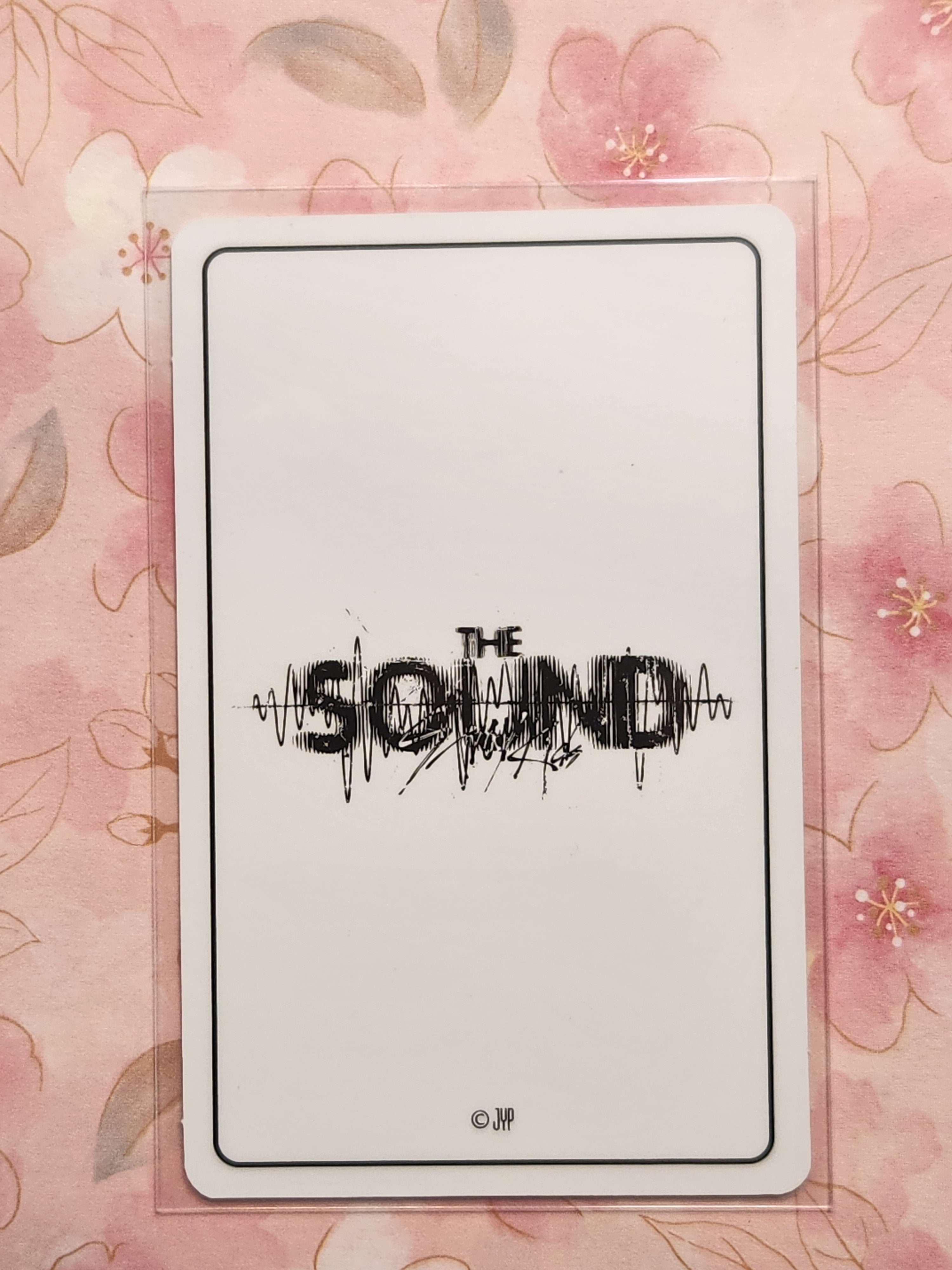Skz The Sound Polaroid