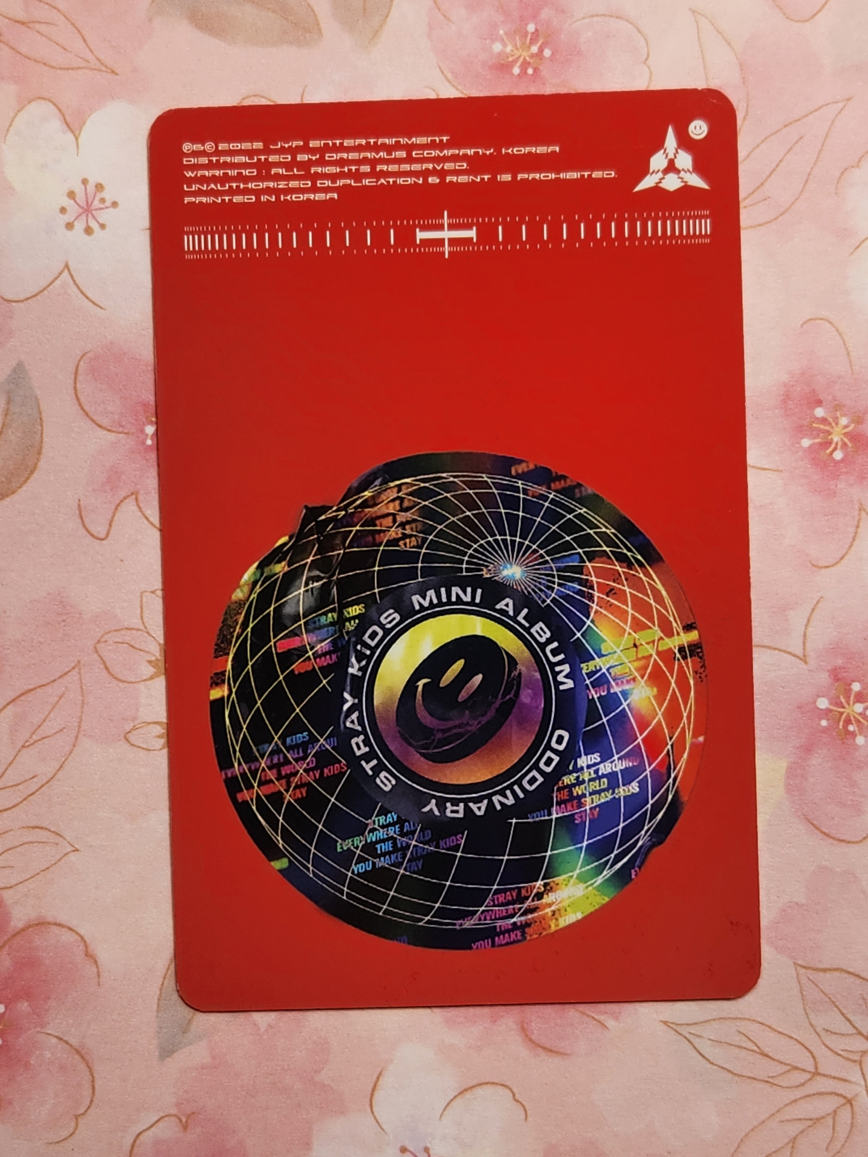 SKZ oddinary Chan x IN unit