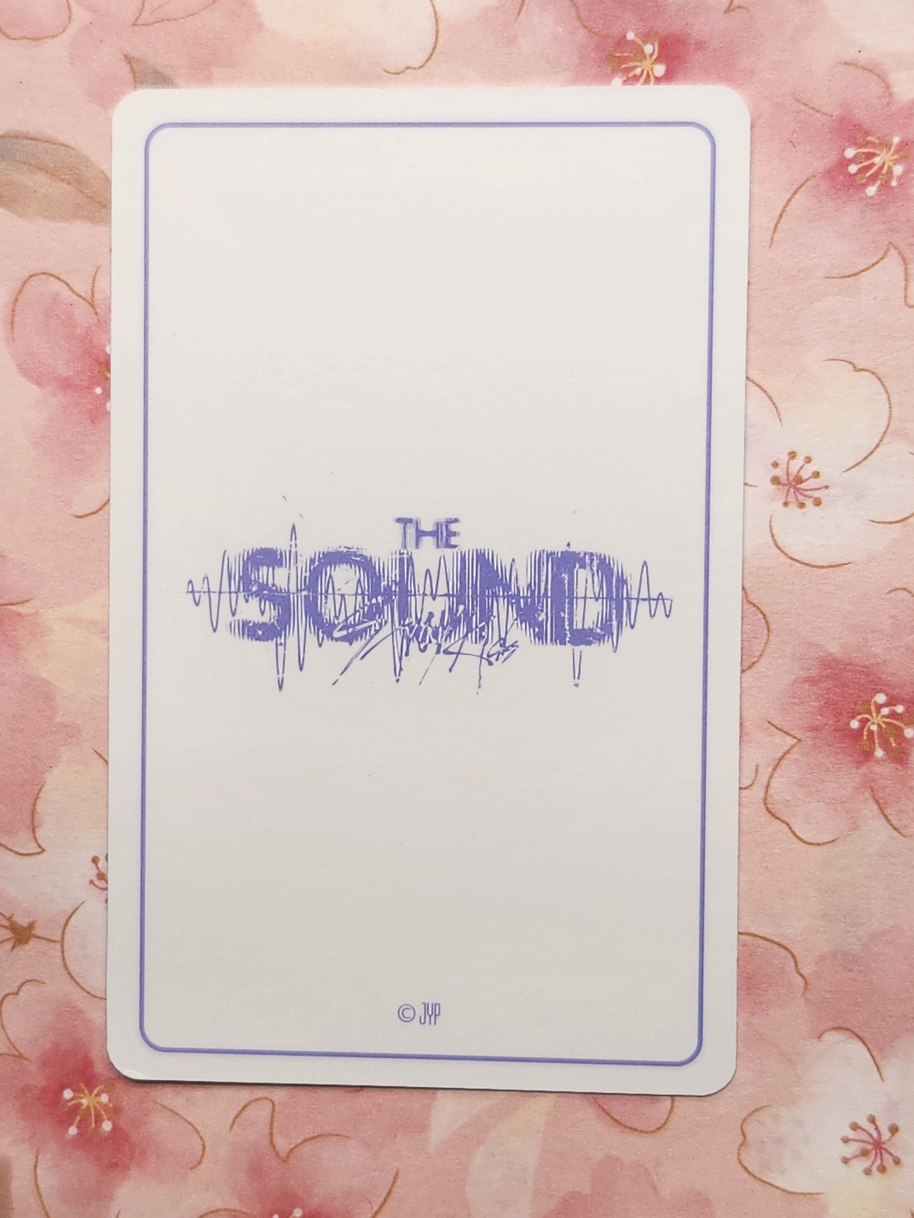 SKZ IN The sound Polaroid