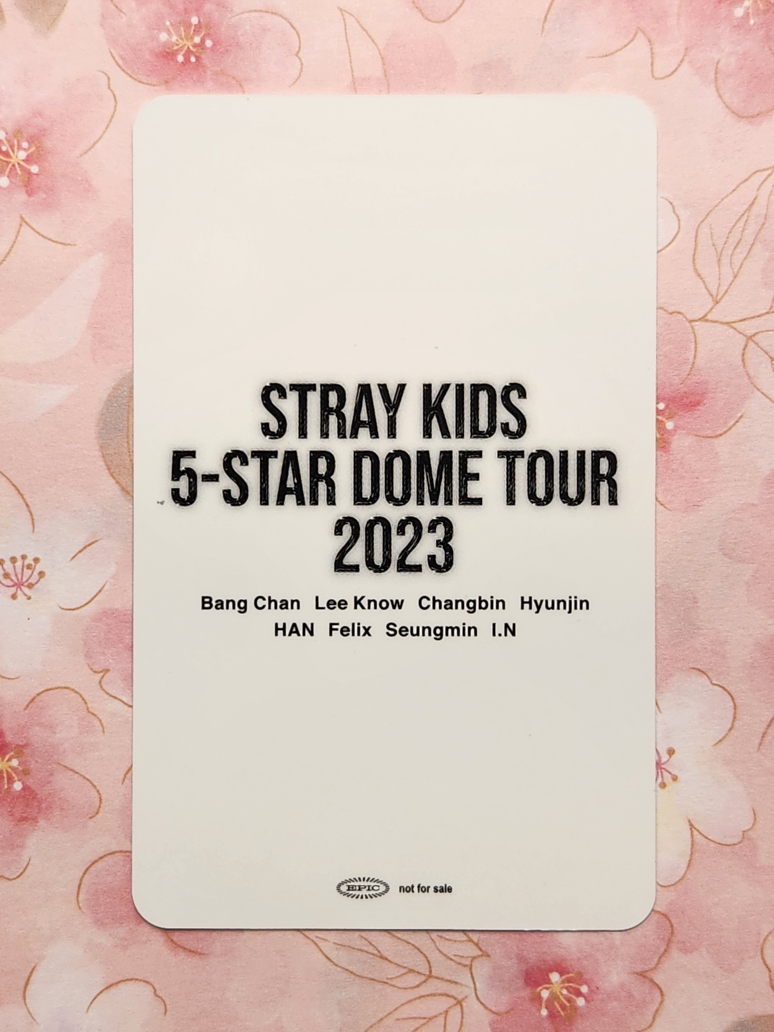 SKZ Hyunjin Dome Tour Japan 2023