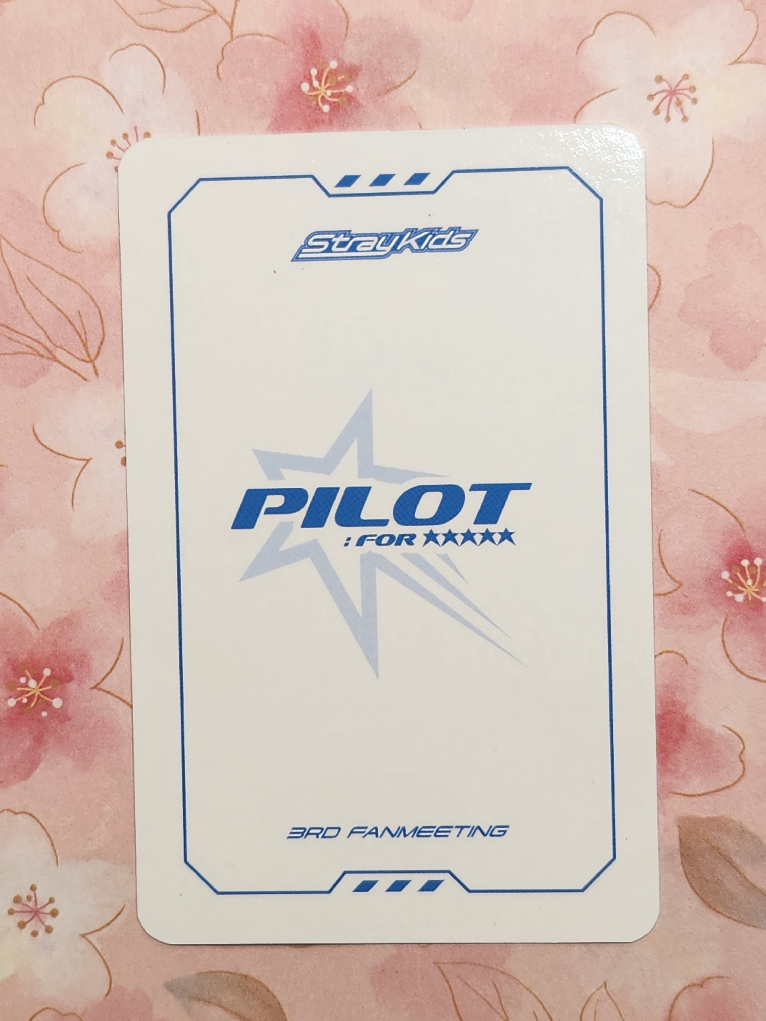SKZ Pilot Hyunjin pc