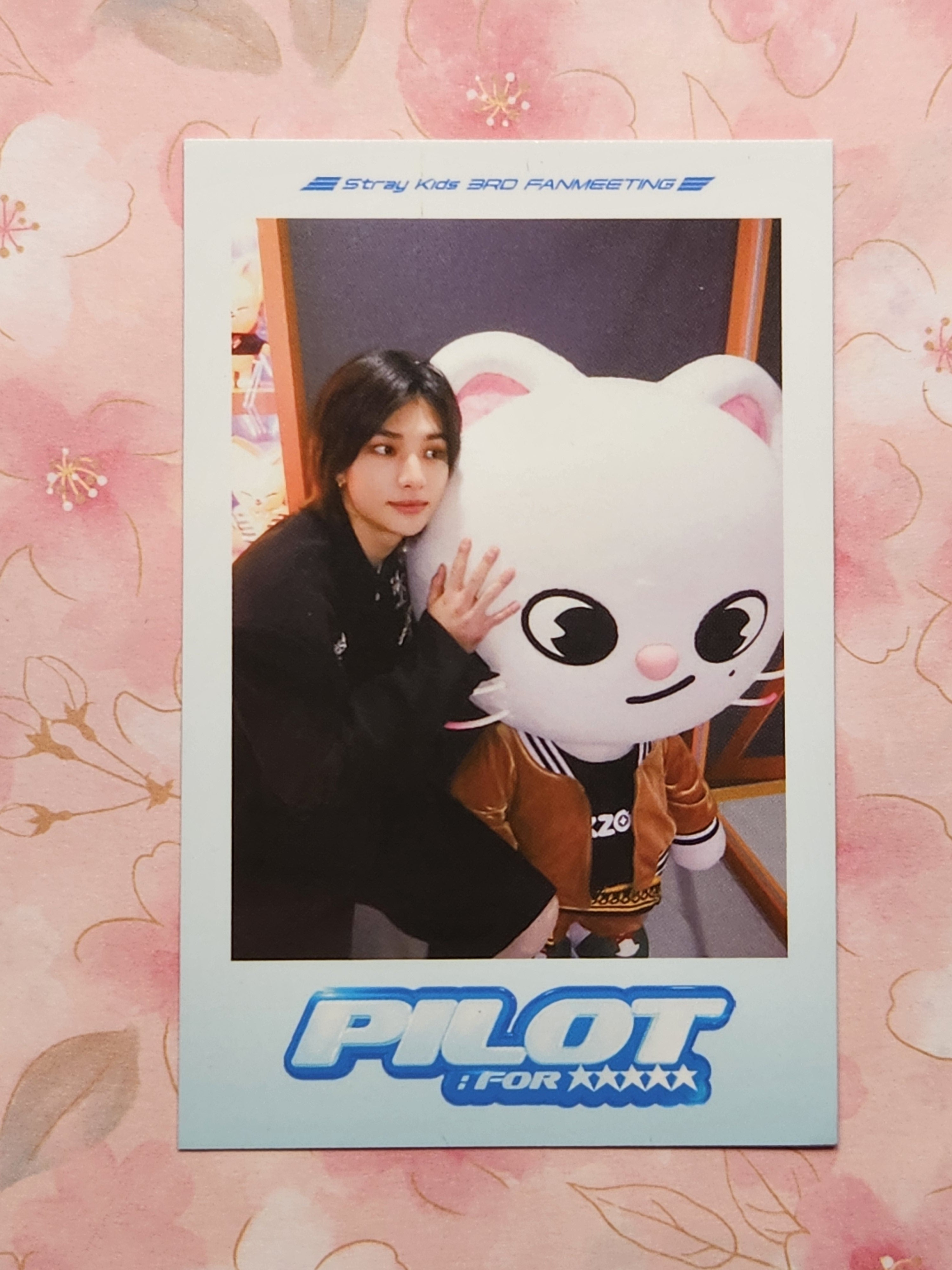 SKZ Pilot Offline Merch Polaroid