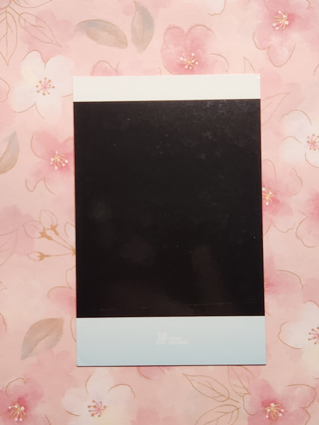 SKZ Pilot Offline Merch Polaroid