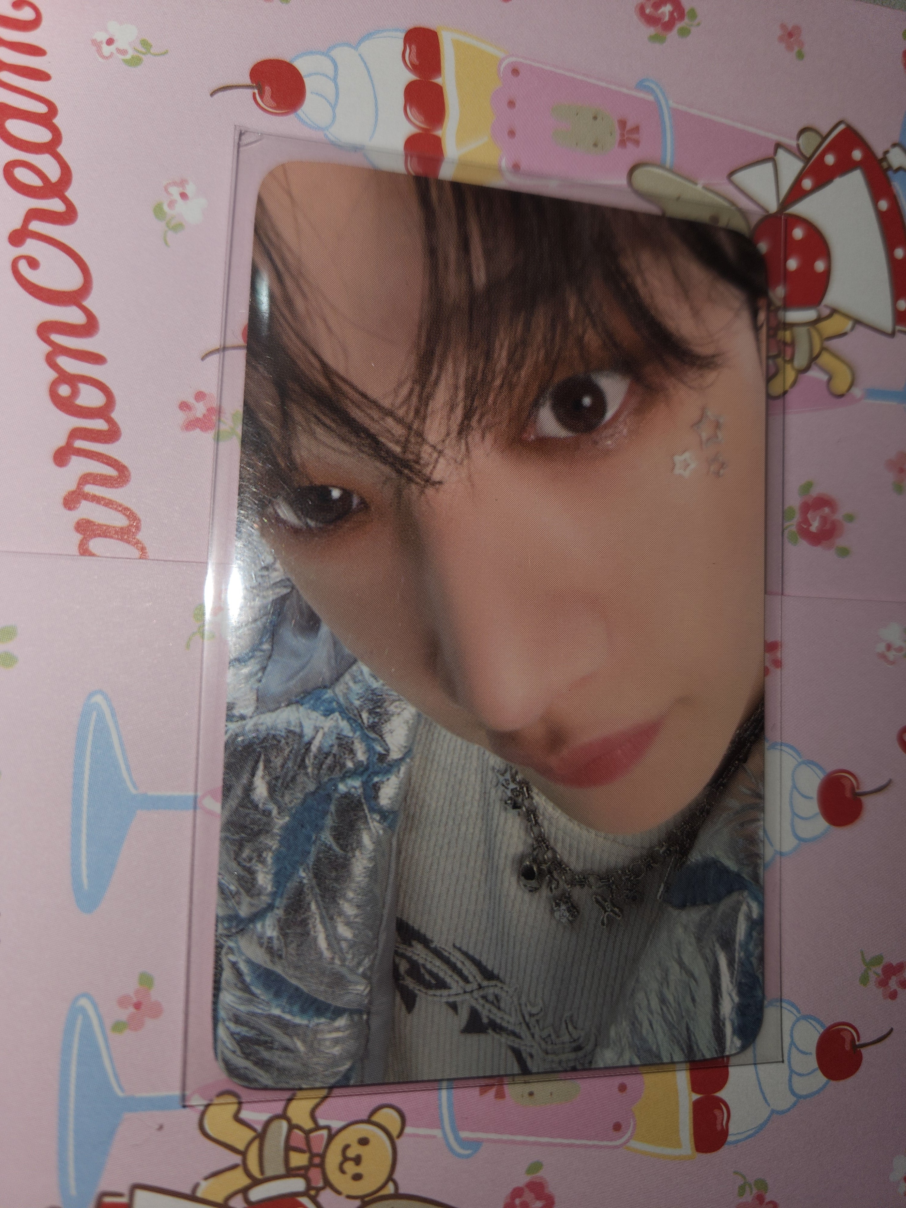 SKZ 5th Fanmeeting Online Pob Chan