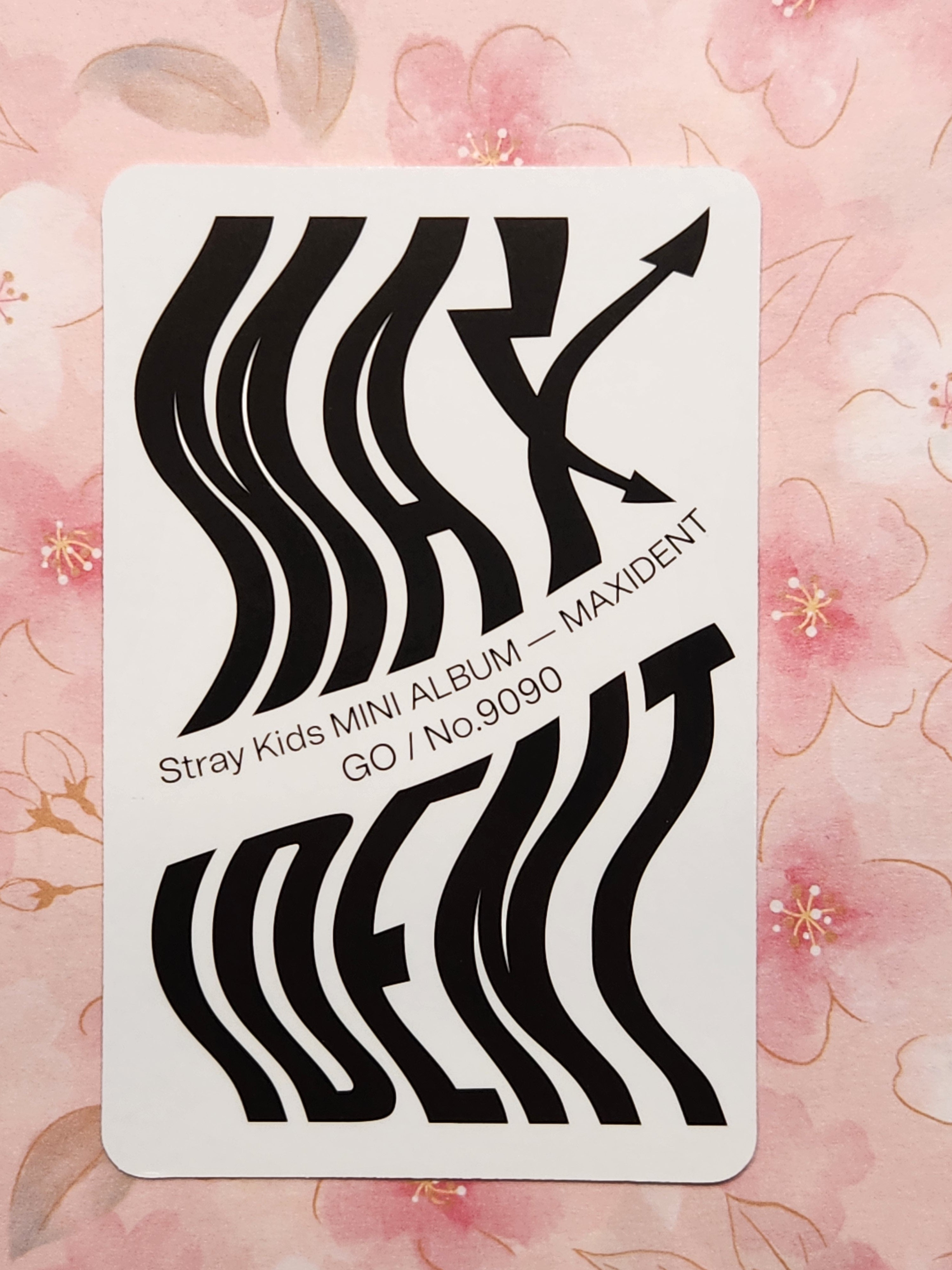 SKZ Han Maxident GO pc