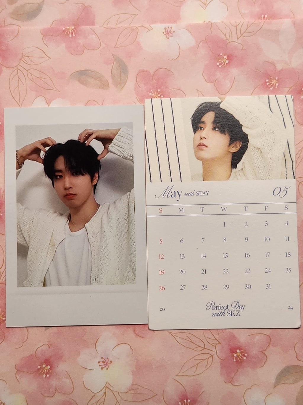 SKZ Han Season Greetings Perfect Day set