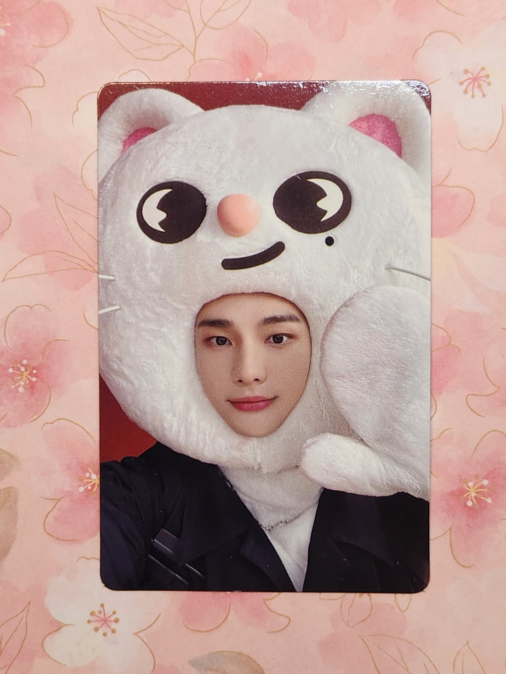 Hyunjin MAXIDENT JYP Shop