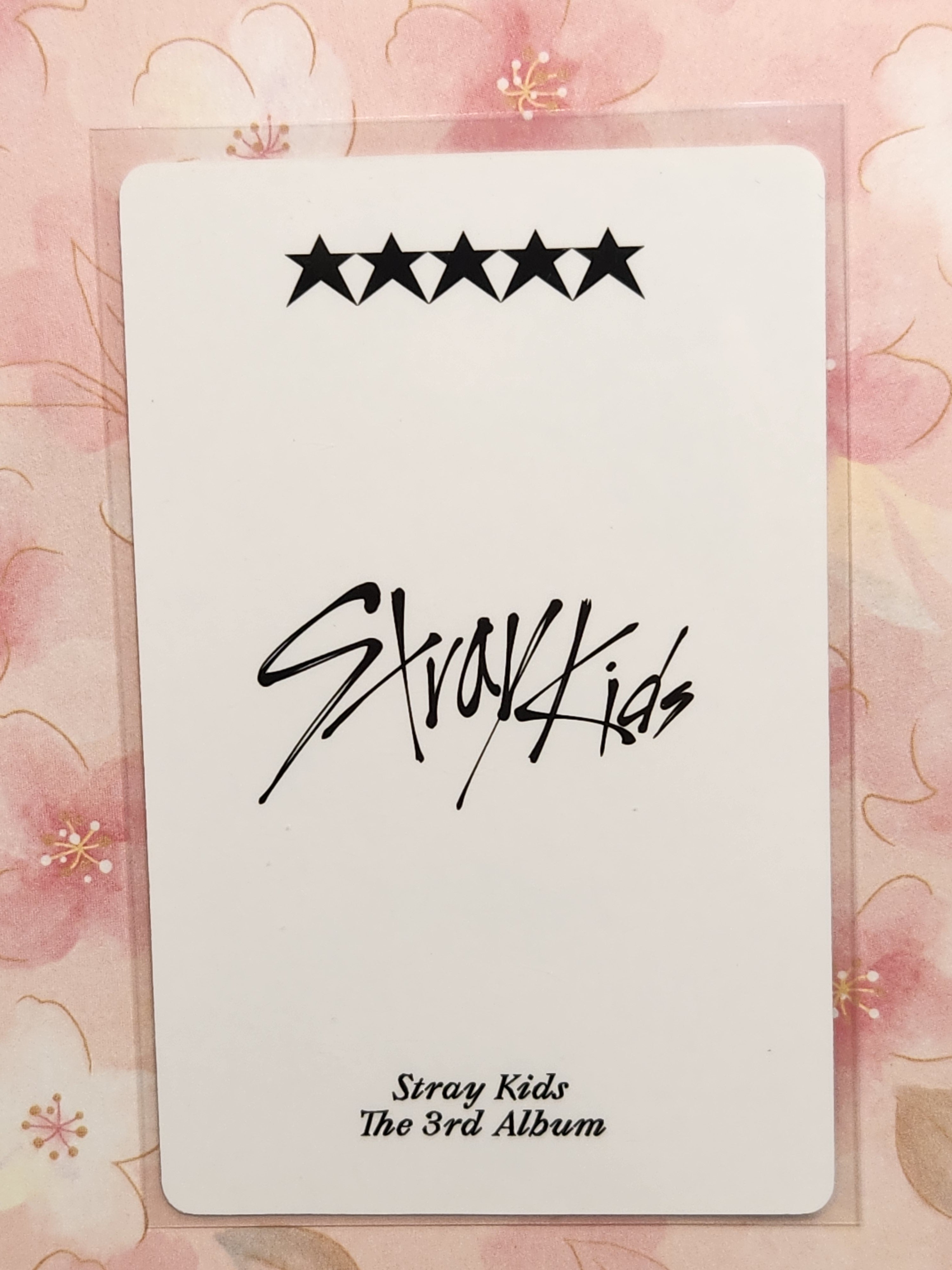 Hyunjin 5-Star YZY Ronda 6 pob