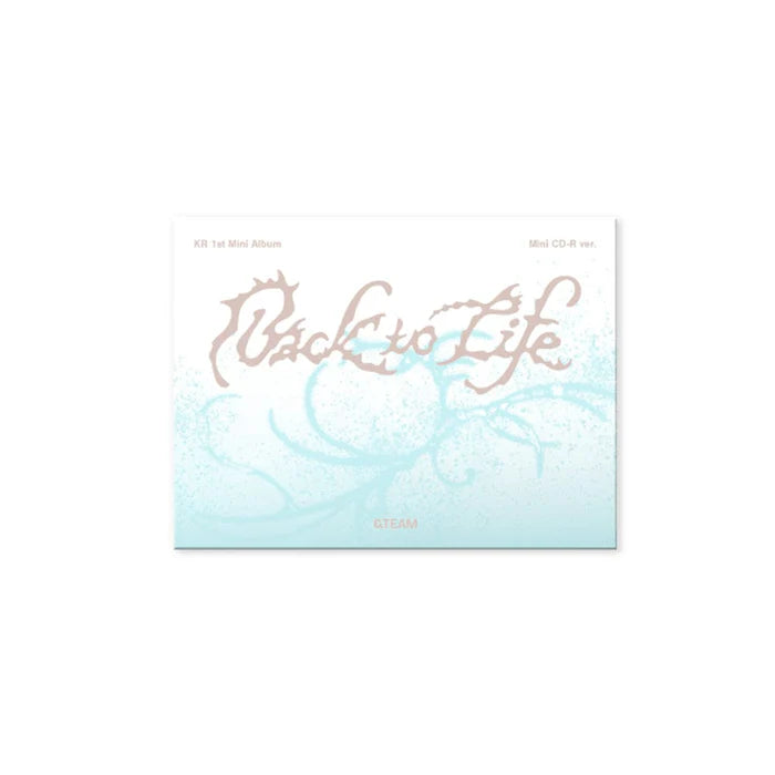 &TEAM Back to Life Mini CD-R ver.