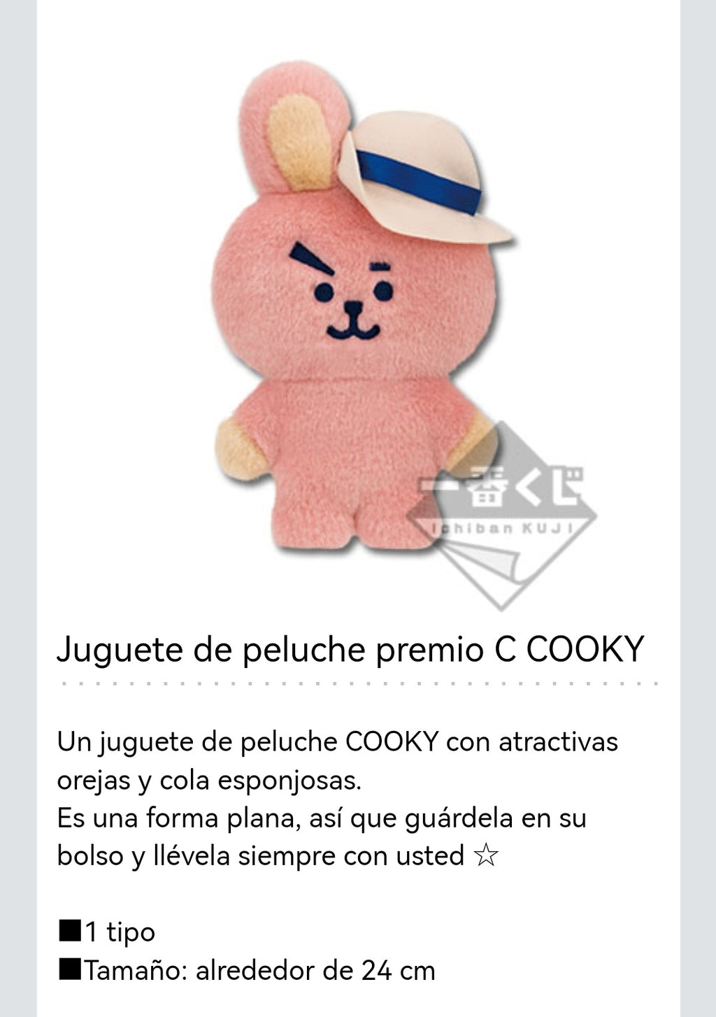 BT21 Japan - Happy Camp Doll